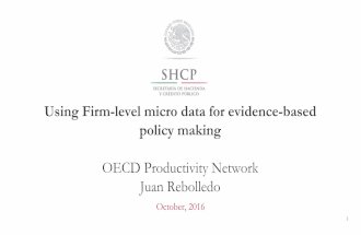 Using firm-level micro data for evidence based policy making