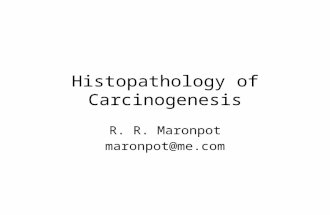 Histopath of carcinogenesis