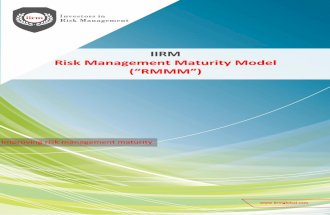 Risk Management Maturity Model (RMMM)