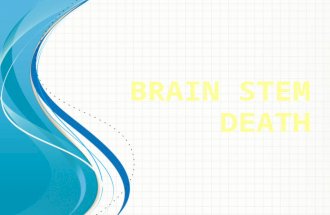Brain stem death