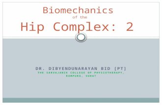 Biomechanics of hip complex 2