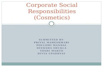 corporate social responsibilities (csr)