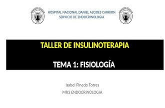TALLER DE INSULINOTERAPIA 1 - FISIOLOGIA