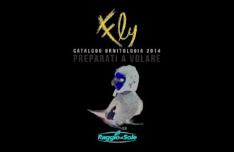 Catalogo fly-2013-2014