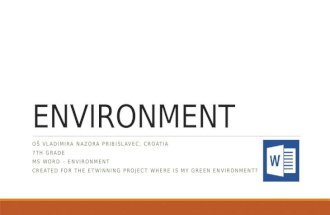 Environment - MS Word