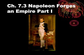 7.3 napoleon part i