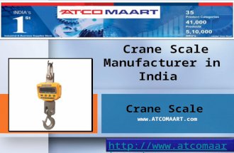 Crane Scale Manufacturer In India