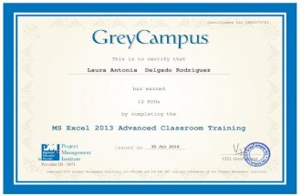 MS Excel 2013 Advanced Certification