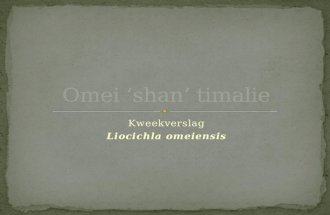 Omei ‘shan’ timalie powerpoint