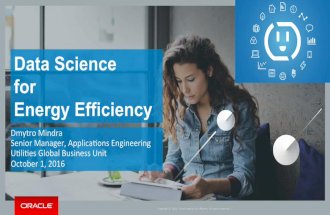 Data Science for Energy Efficiency (Dmytro Mindra Technology Stream)