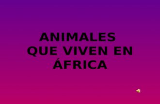 Animalitos africanos