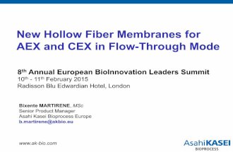 New Hollow Fiber Membranes for AEX and CEX in Flow-Through Mode
