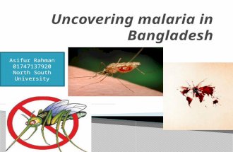 Uncovering malaria-in-bangladesh-final-presnattn
