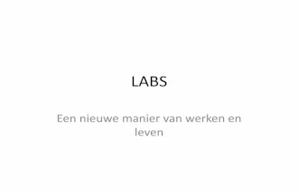 Labs, an explanation for students