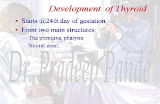 Congenital anomalies of thyroid