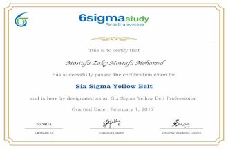 Course certification 6sigmastudy - Six Sigma Yellow Belt