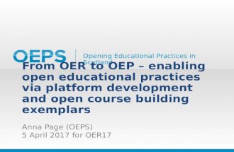 OEPS at OER17 - from OER to OEP