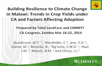 Building resilience to climate change in Malawi trends in crop yields under ca and factors affecting adoption