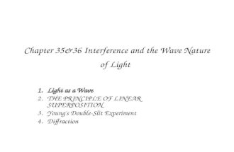 Interference and the Wave Nature of Light