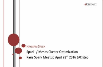 Spark / Mesos Cluster Optimization