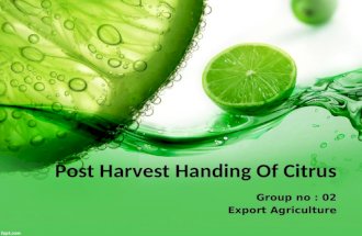 Post Harvest Diseases of Citrus