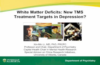 White Matter Deficits: New TMS Treatment Targets in Depression?