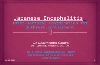 Japanese Encephalitis