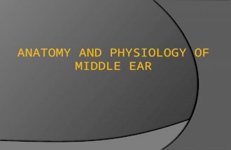 anatomy and physiology of middle ear spaces