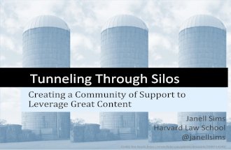 Janell Sims: Tunneling Through Silos