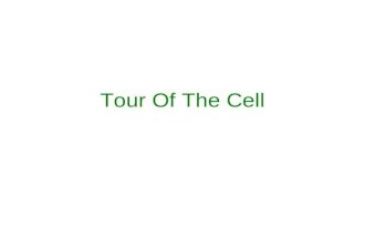 Tour Of The Cell. Microscopy What is the difference between magnification and resolving power? Magnification is how much larger the object can now appear.