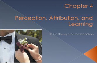 What are the factors influencing perception? What are common perceptual distortions? What is social learning theory? What is the link between attribution.