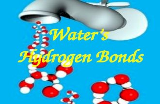 Water’s Hydrogen Bonds. ONE molecule of water Draw what you think a water molecule looks like! We know that… ONE molecule of water is made up of 2H’s.