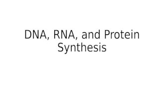 DNA, RNA, and Protein Synthesis. Function of DNA as “master” program DNA codes for the primary structure of a protein which impacts the tertiary structure,