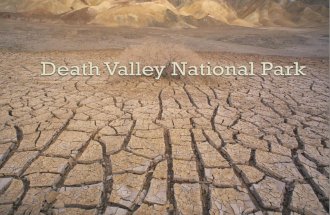 Death Valley Was Established in the year 1933.  The park protects the northwest corner of the Mojave Desert and contains a diverse desert environment.