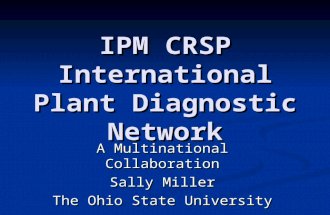 IPM CRSP International Plant Diagnostic Network A Multinational Collaboration Sally Miller The Ohio State University.