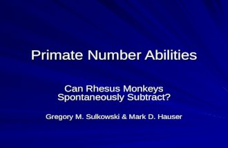 Primate Number Abilities Can Rhesus Monkeys Spontaneously Subtract? Gregory M. Sulkowski & Mark D. Hauser.