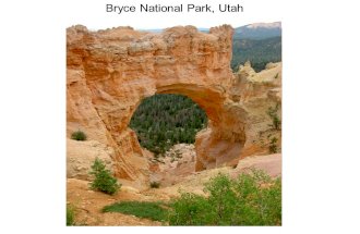 Bryce National Park, Utah. Water Erosion on Mars.