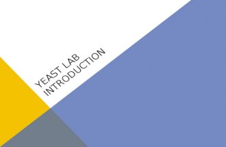 Yeast Lab Introduction