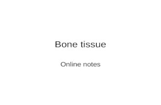 Bone tissue Online notes. INTRODUCTION Bone is made up of several different tissues working together: bone, cartilage, dense connective tissue, epithelium,