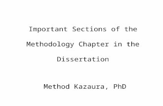 Important Sections of the Methodology Chapter in the Dissertation