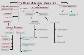The Origin of Species Chapter 24 The Species Problem Modes of Speciation The Tempo of Speciation GradualismPunctuated Equilibrium Morphological Ecological.