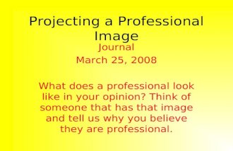 Projecting a Professional Image Journal March 25, 2008 What does a professional look like in your opinion? Think of someone that has that image and tell.