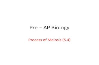 Pre – AP Biology Process of Meiosis (5.4). Somatic vs. Germ.