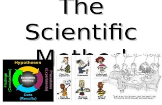 The Scientific Method. Warm Up Unit 1 Day 4 How is a guess different from an educated guess and how is a theory different from a hypothesis?