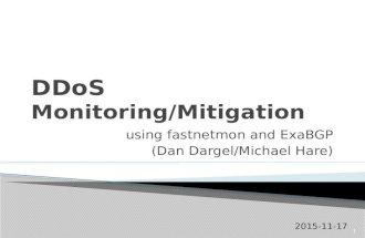 DDoS Monitoring/Mitigation