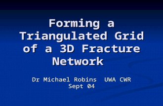 Forming a Triangulated Grid of a 3D Fracture Network Dr Michael Robins UWA CWR Sept 04.
