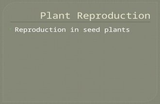 Reproduction in seed plants.  Gymnosperm seeds are not enclosed by a protective fruit.