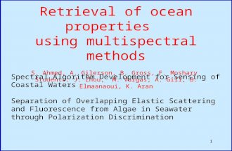 1 Retrieval of ocean properties using multispectral methods S. Ahmed, A. Gilerson, B. Gross, F. Moshary Students: J. Zhou, M. Vargas, A. Gill, B. Elmaanaoui,