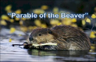 “Sinful Census” This lesson is designed to show some of the good habits of the beaver that every Christian should imitate. Parables were used by Christ.