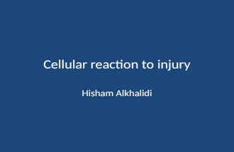 Cellular reaction to injury Hisham Alkhalidi. Heart hyperplasia diagram.